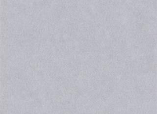 Фото - Обои Texdecor Slimcolor - 598103>