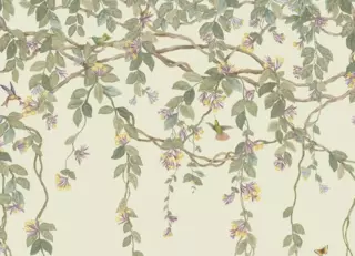 Фото - Обои Cole & Son Selection of Hummingbirds - 626734>