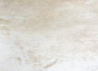 Фото - Обои Designers Guild Caprifoglio - 250491>