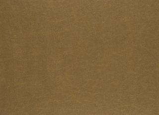 Фото - Ткани Designers Guild Arizona - 281975>