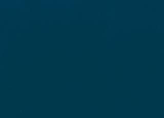 Фото - Ткани Misia - 394990>