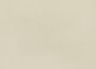 Фото - Ткани Villa Nova Pico Velvet - 472335>