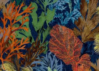 Фото - Обои Hohenberger Tropical - 545163>