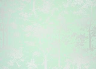 Фото - Обои Osborne & Little Wallpaper Album 7 - 353189>