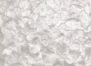 Фото - Обои Maya Romanoff Mother of Pearl On the Half Shell - 304960>