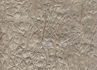 Фото - Обои Arlin Velawall - 342132>