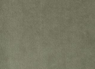 Фото - Ткани Foresti Home Collection Velluto di cotone Zeus - 563408>