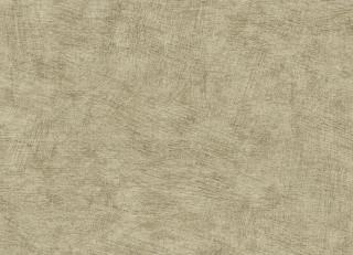 Фото - Обои Decoprint Herbarium - 618776>