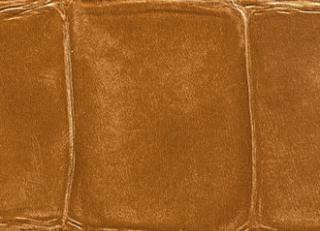 Фото - Обои Elitis Anguille - 257745>