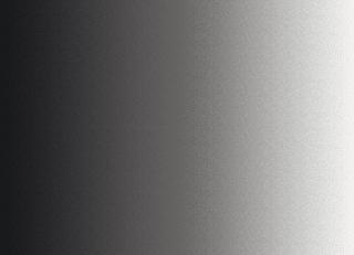 Фото - Обои Loymina Equilibre - 419443>