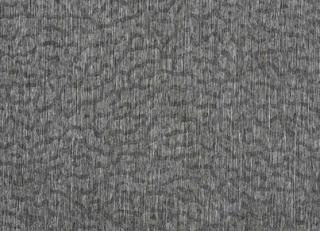 Фото - Обои Pierre Frey Fox Trot - 311551>