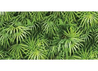 Фото - Обои Shinhan Natural  - 554966>