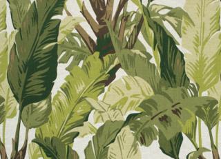 Фото - Ткани Thibaut Tropics - 529860>