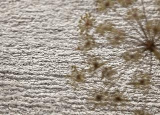 Фото - Ковры JAB Anstoetz Secrets - 579390>