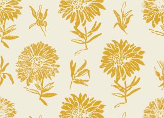 Фото - Обои Coordonne Lur - 580813>