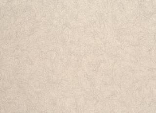 Фото - Обои Caselio Legends - 231076>