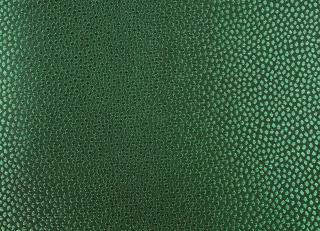 Фото - Обои Epoca Wallcoverings Amazon River - 551572>