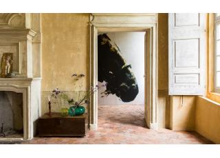 Фото - Обои Elitis Panoramiques - 399650>