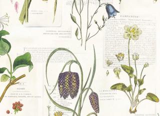 Фото - Обои Paper Partnership University of Oxford Archives vol.2 - 375736>