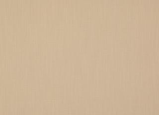 Фото - Ткани Дом CARO Polo - 533234>