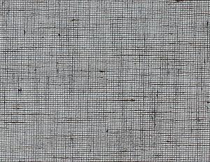 Фото - Обои Phillip Jeffries Vinyl Seaside Linen II - 512249>