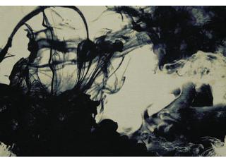 Фото - Ткани Foresti Home Collection Stampati - 411997>