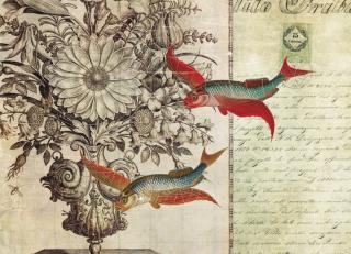 Фото - Обои Ortograf Эми Стюарт - 479982>