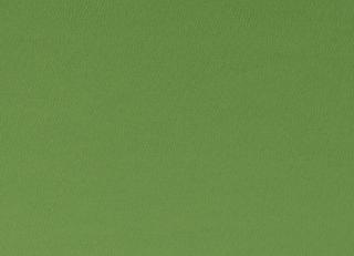 Фото - Ткани Clarke&Clarke Spectrum Fabrics - 363003>