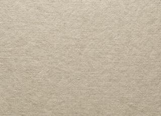 Фото - Ткани De Le Cuona Shepherds Cloth - 546899>