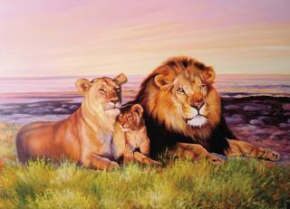 Фото - Обои Ortograf Елена Самарская - 479046>