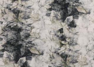 Фото - Ткани Romo Japura - 418163>