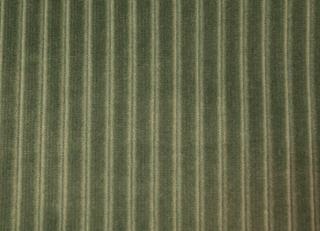 Фото - Ткани Foresti Home Collection Velluto a coste small - 563346>