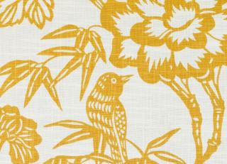 Фото - Ткани Duralee Thomas Paul Prints Exclusively for Duralee Vol.III - 351854>