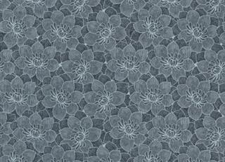 Фото - Обои Equipo DRT Senso - 405105>