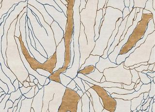 Фото - Ковры Tapis Rouge Fabulous - 590049>