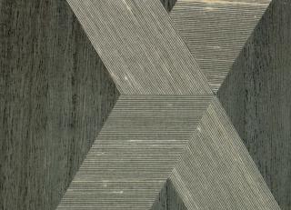 Фото - Обои CMO Paris Soie bois - 592556>