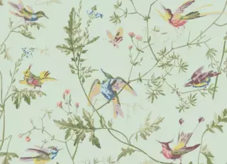 Фото - Обои Cole & Son Selection of Hummingbirds - 626731>