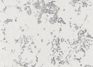 Фото - Обои Casadeco Rivage - 466449>