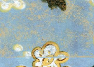 Фото - Обои Elitis Soleil levant - 469511>