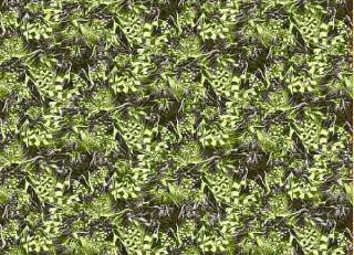 Фото - Обои Tres Tintas Sophie - 198133>