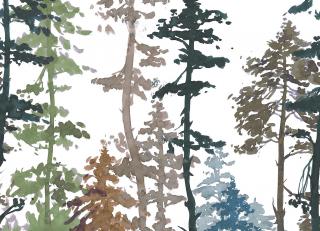 Фото - Обои Pierre Frey Galerie 3 - 535453>