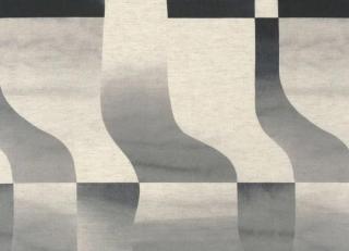 Фото - Ткани Camengo Evanescence - 609884>