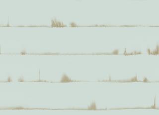 Фото - Обои Mayflower by Kt Exclusive Solaris - 350006>