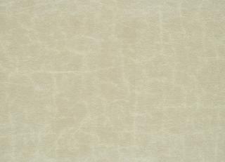 Фото - Ткани Designers Guild Arizona - 281946>