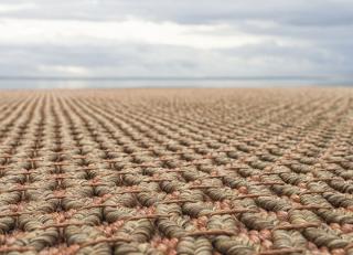 Фото - Ковры JAB Anstoetz Eden - 572632>