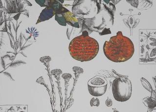 Фото - Обои Gaston y Daniela Origen Dos - 554543>