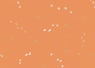 Фото - Обои KT Exclusive Playdate Adventure - 435032>