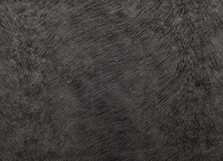 Фото - Ткани Gancedo Chromatic - 366656>