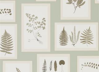 Фото - Обои Sanderson Woodland Walk - 247954>