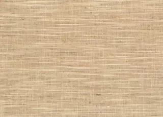 Фото - Ткани Casamance La route de la soie - 629593>